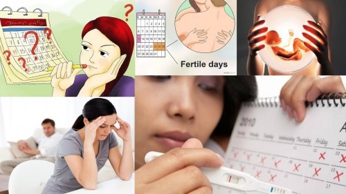 Một số bài thuốc hay chữa rối loạn kinh nguyệt tại nhà cho chị em phụ nữ 